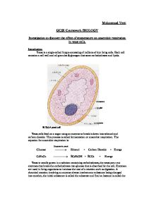 purchase Yeast Biology Coursework what is essay writing service - Edobne