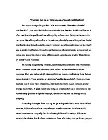 Race and social stratification essay