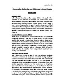 Реферат: Meiosis Vs Meitosis Essay Research Paper More