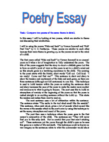 classification essay on shoes